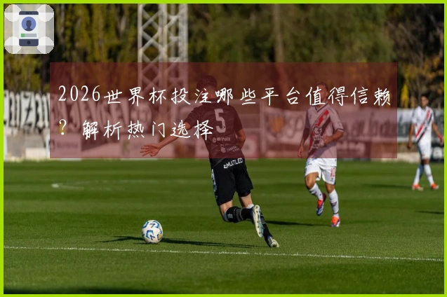2026世界杯投注哪些平台值得信赖？解析热门选择