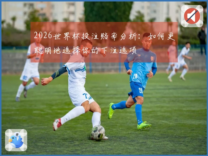 2026世界杯投注赔率分析：如何更聪明地选择你的下注选项