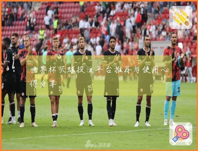 世界杯买球投注平台推荐与使用心得分享
